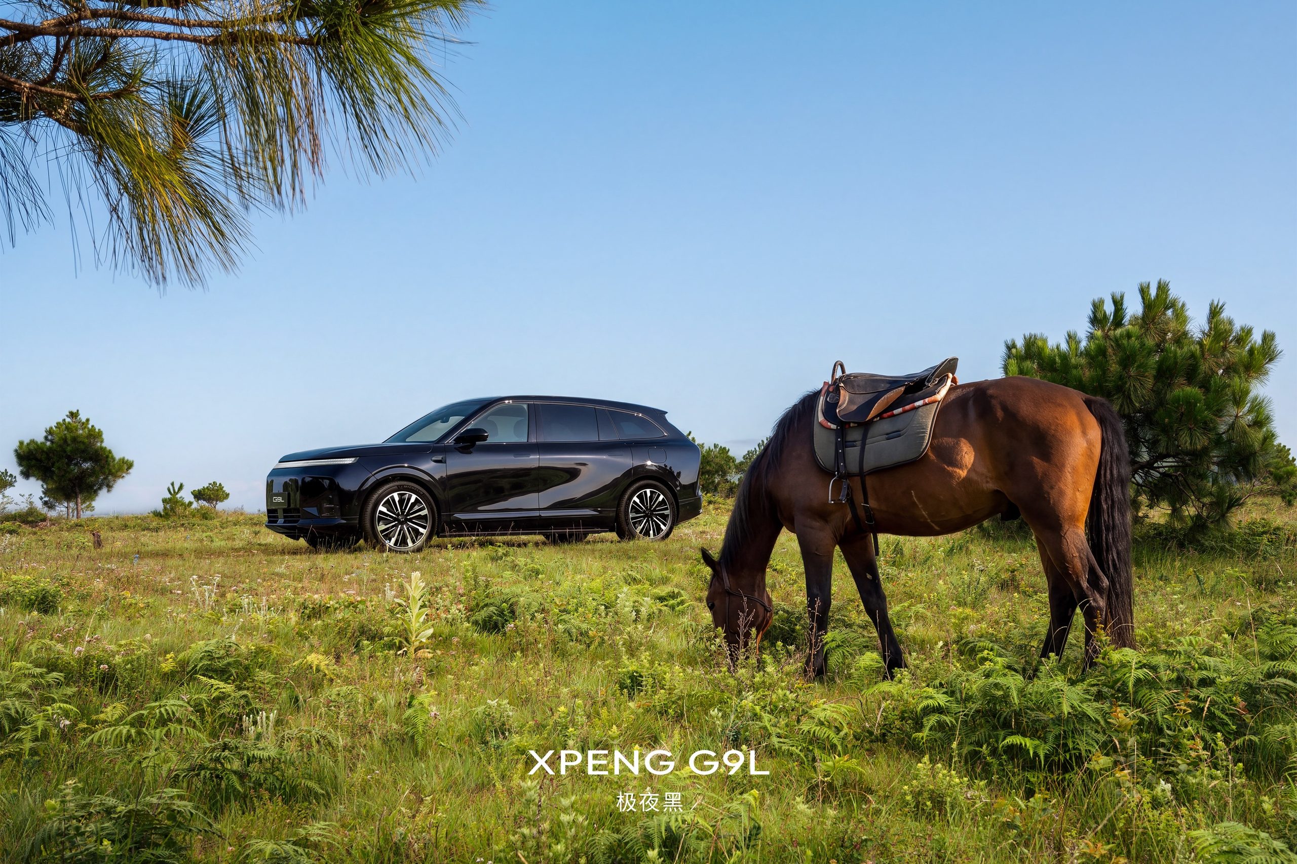 XPENG G9L in Polar Night Black parked in a meadow beside a grazing saddled horse