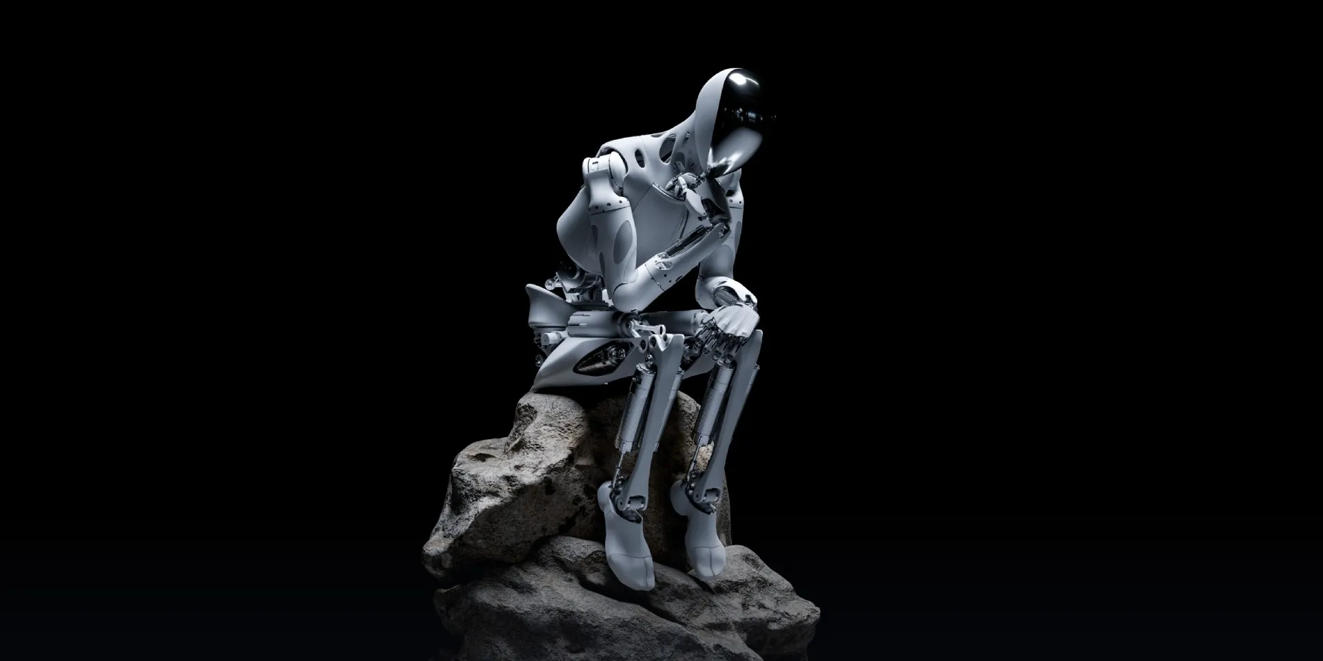 Presentation image of IRON seated on a rock with one hand beneath its chin