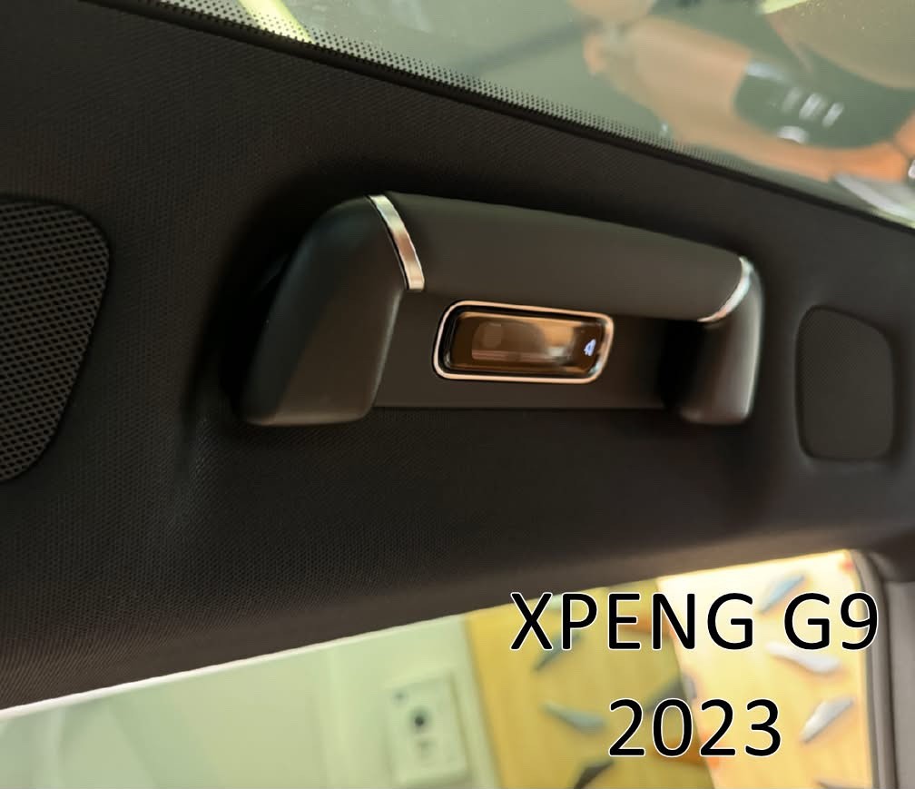 21. Rear Doors & Hooks